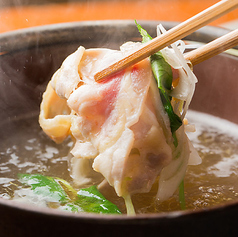 旨味凝縮！濃厚な鶏出汁にくぐらせて楽しむ「みつせ鶏しゃぶしゃぶ」絶品出汁の写真