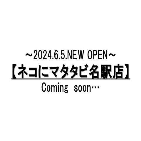 【2024.6.5 NEW OPEN】名古屋駅から徒歩4分！『ネコにマタタビ名駅店』が新登場！