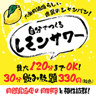 飲むしかない！お得な30分レモンサワー飲み放題は330円