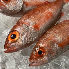 たちうお はなれのコース写真