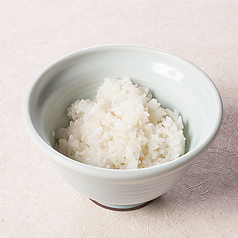 ご飯