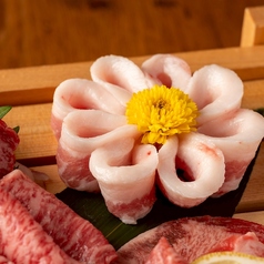 那須桜牛シンタマ（トモ三角、カメノコ、マルカワ）