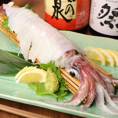 〆イカの姿造り(10g)