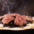 料理メニュー写真&nbsp;ジンギスカンセット