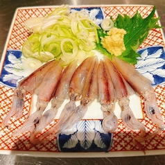 はなうた 富山駅前のおすすめ料理1