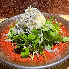 しらすとクレソンの温玉サラダ