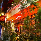 【貸切×飲み放題】カフェ コットンクラブの詳細