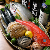 美味しい魚を楽しんでいただきたい！