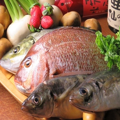郷土魚料理　銀次郎の写真2