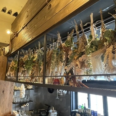 1y17 イチワイイチナナの特集写真