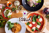 ESOLA