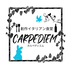 創作イタリアン食堂CARPEDIEM カルペディエムのロゴ