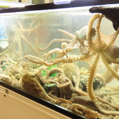 東大門 タッカンマリ 熊本店の雰囲気3