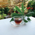 【自家製 ビワの葉茶】店の庭にある枇杷の葉を煎じてお茶を作っています。枇杷は古代から優れた薬効を持つ植物として知られています。