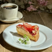 マツガミネコーヒービルヂング 101 本店のおすすめ料理2