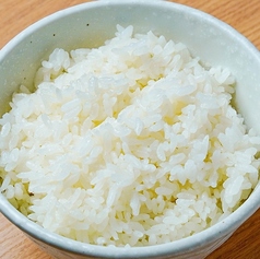 ごはん