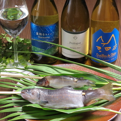 本日の川魚