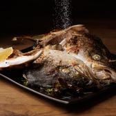 トロ政 池袋店のおすすめ料理2