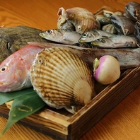 生簀から揚げたての貝を堪能！刺身や赤酢の本格握りも◎