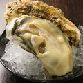 料理メニュー写真 殻牡蠣 Sサイズ
