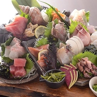 明るく開放的な店内で大人数宴会！新鮮な海鮮料理を満喫