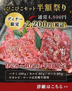 ぴこぴこ精肉店 レインボー通りのおすすめ料理1