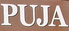 カトマンドゥカリーPUJA 甲子園のロゴ