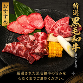 【厳選A5黒毛和牛×個室】焼肉やまと 町田店のおすすめ料理3