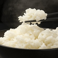 白米ご飯