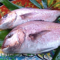 【老舗ならではの目利き】季節に合せた旬材を厳選仕入☆