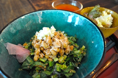 名物かながわ丼・はまぽーく料理・クラフトビールの飲めるお店