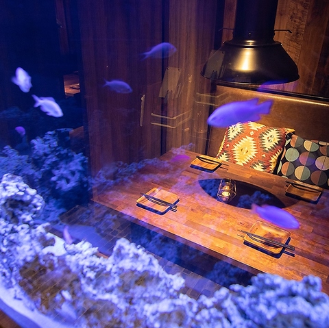 S ēHו  イイ cp_CX O{