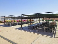 開放的な屋上で楽しむバーベキュー