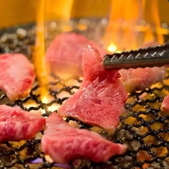 七輪炭火焼肉　榮華亭　難波店　別館のおすすめ料理1