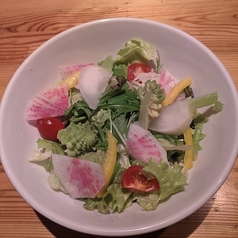 しげぞうサラダ大