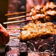 地鶏焼き鳥 山の恵み 新橋店の特集写真