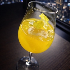 パールファジーネーブル