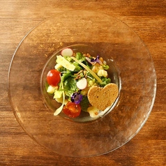 野菜10品目のラヴァーニャサラダ