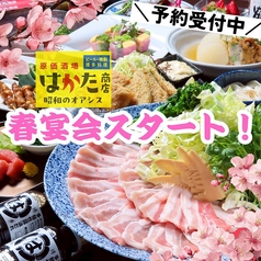 宴会飲み放題無制限　はかた料理専門店　はかた商店　西新井店の写真