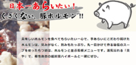 日本一あらいたい！くさくない、豚ホルモン！！