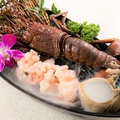 料理メニュー写真 伊勢海老