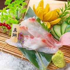 真鯛のお刺身