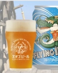 新潟市クラフトビール エチゴビール FLYING IPA