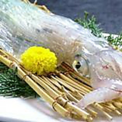 【宴会】豪華絢爛コース 6,600円(税込)＜14品/2.5時間飲放題＞新鮮な魚を使った料理を堪能！