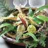 海鮮居酒屋　元氣のおすすめポイント1