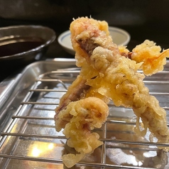 生イカゲソ