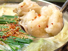 博多もつ鍋 大山 心斎橋特集写真1