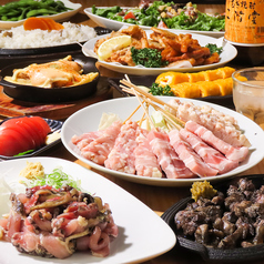 江島流地どり家道場 浜口店のコース写真