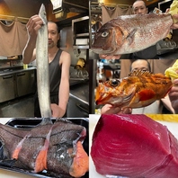 日替わりオススメ鮮魚！2026/03/13 今日のオススメ♪