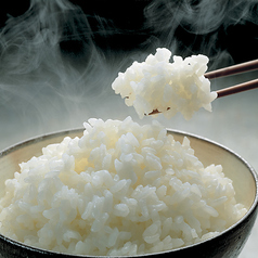 宮崎県産米100%　ふっくらご飯